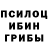 Галлюциногенные грибы Psilocybine cubensis patrick blasco
