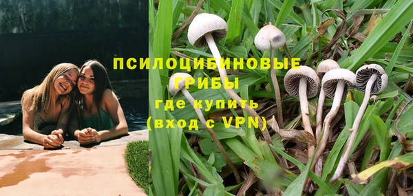 герыч Сафоново