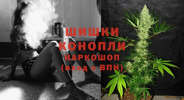 сатива Алексин