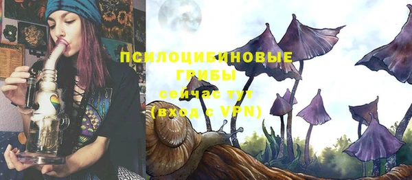прущие крисы Алзамай