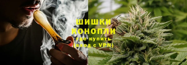 прущие крисы Алзамай