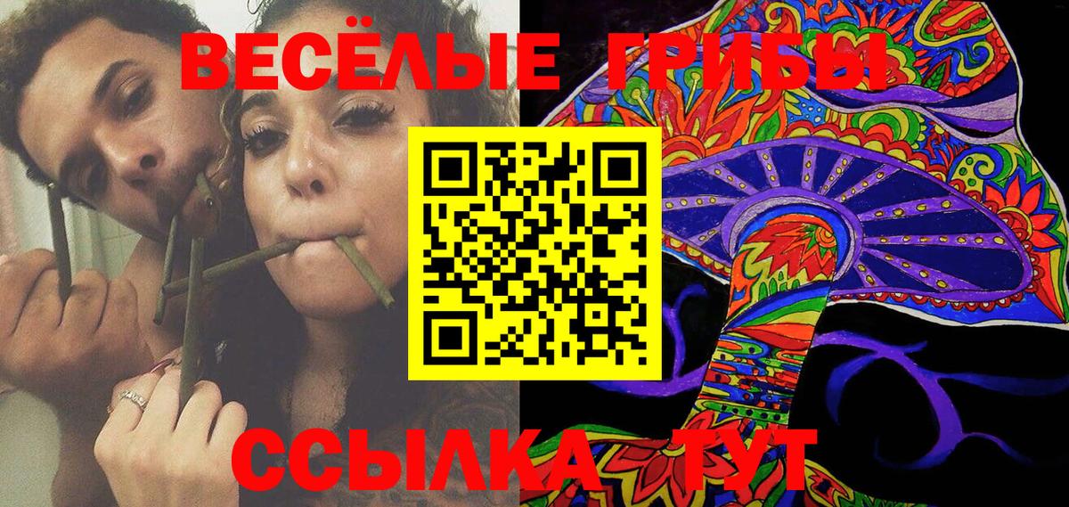 Псилоцибиновые грибы MAGIC MUSHROOMS  Вход с VPN  Дзержинский 